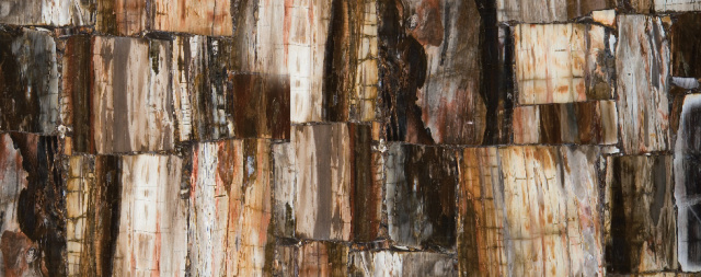 Legno